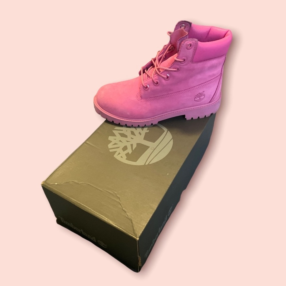 COPY - Timberland Hikers
